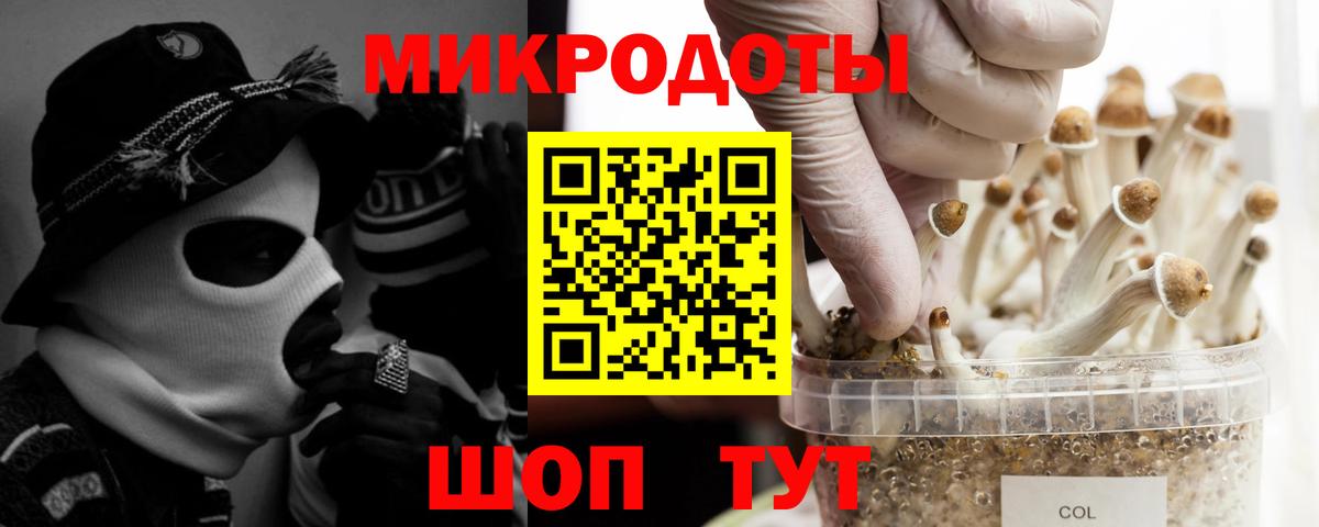 Нефтекамск  Галлюциногенные грибы Cubensis  Галлюциногенные грибы Psilocybine cubensis  Вход с VPN 